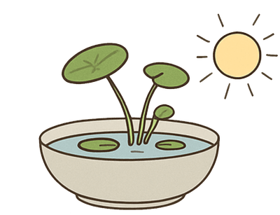 Step 4: Grow the lotus